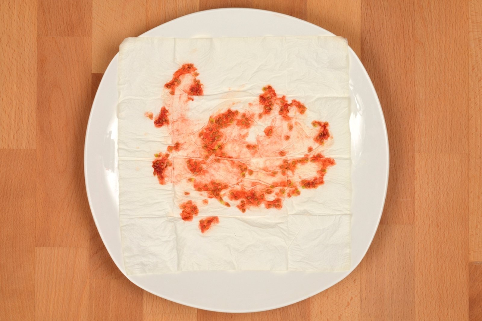 Tomato pulp and seed smeared on absorbent paper