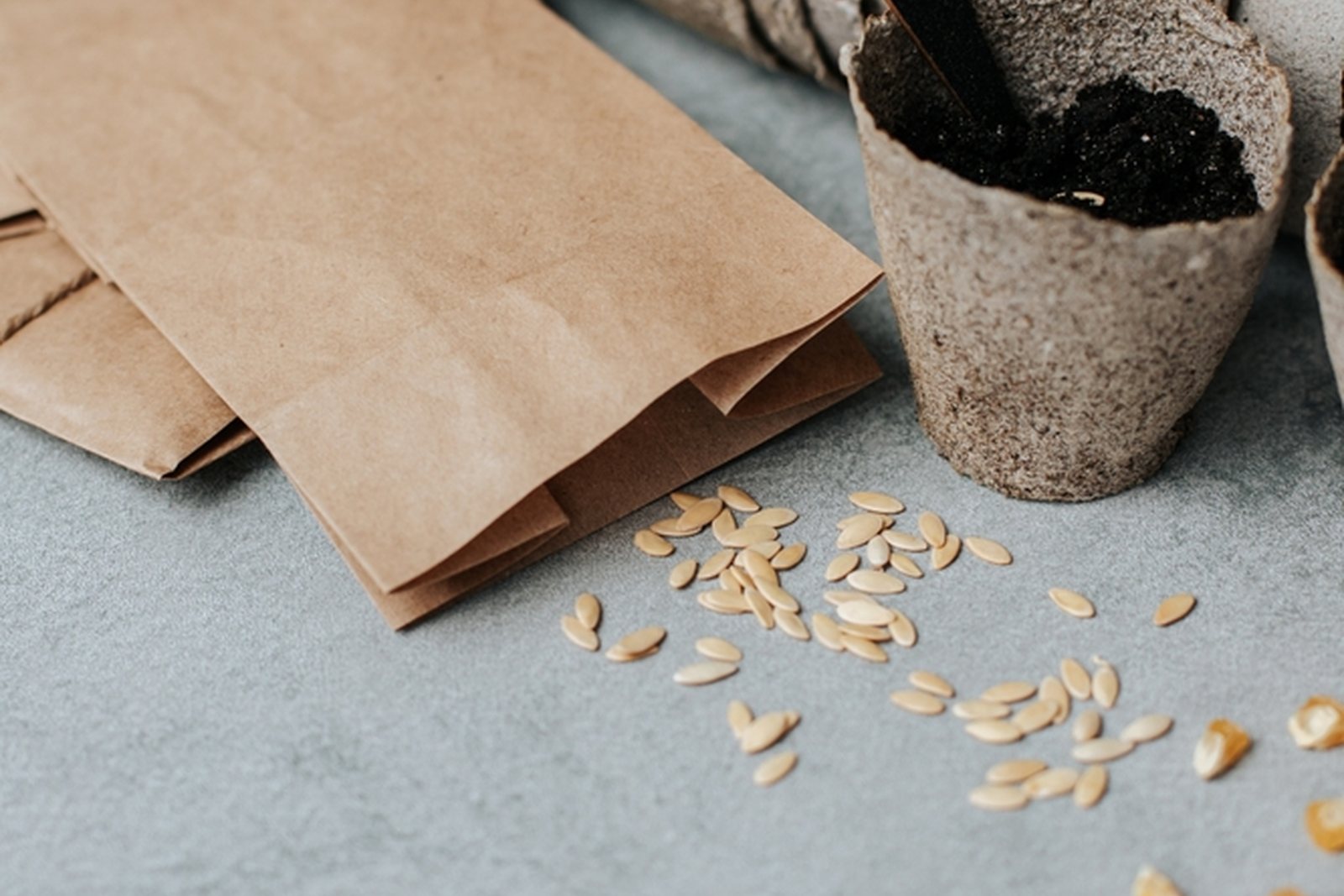 Paper seed envelopes and labels prepared for separate seed lots