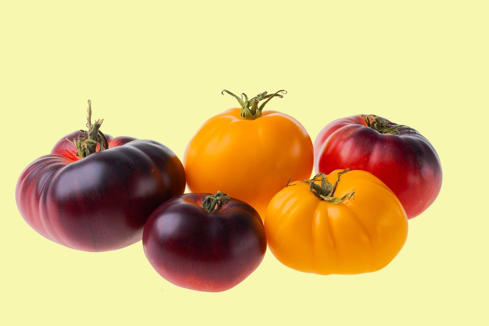 Orange and dark red ribbed tomatoes arranged on a pale background