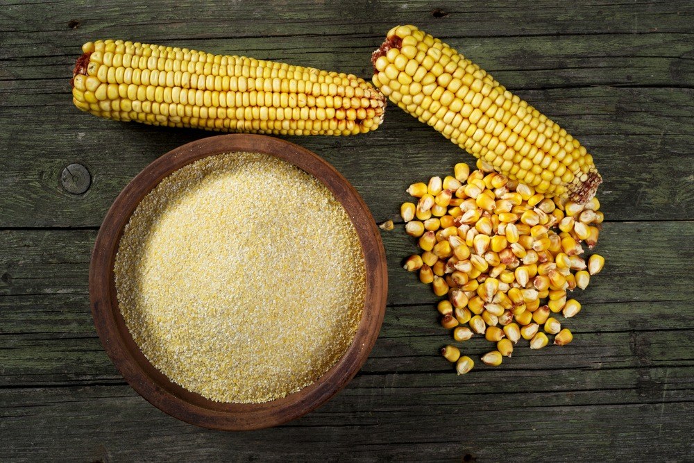Yellow maize meal in a bowl beside a dried corn ear