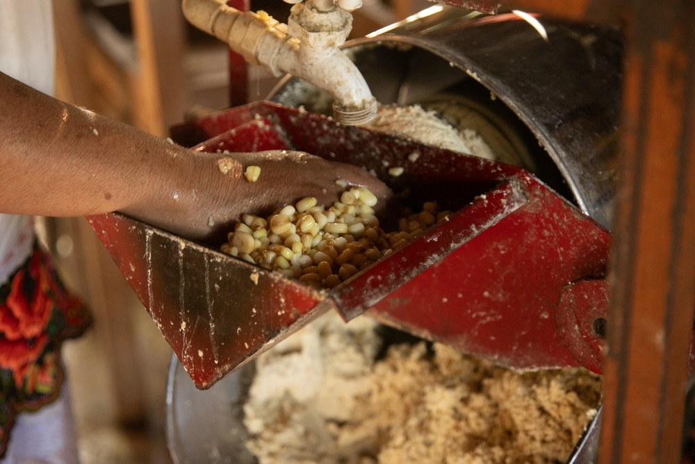 Cooked corn kernels being fed into a small mill