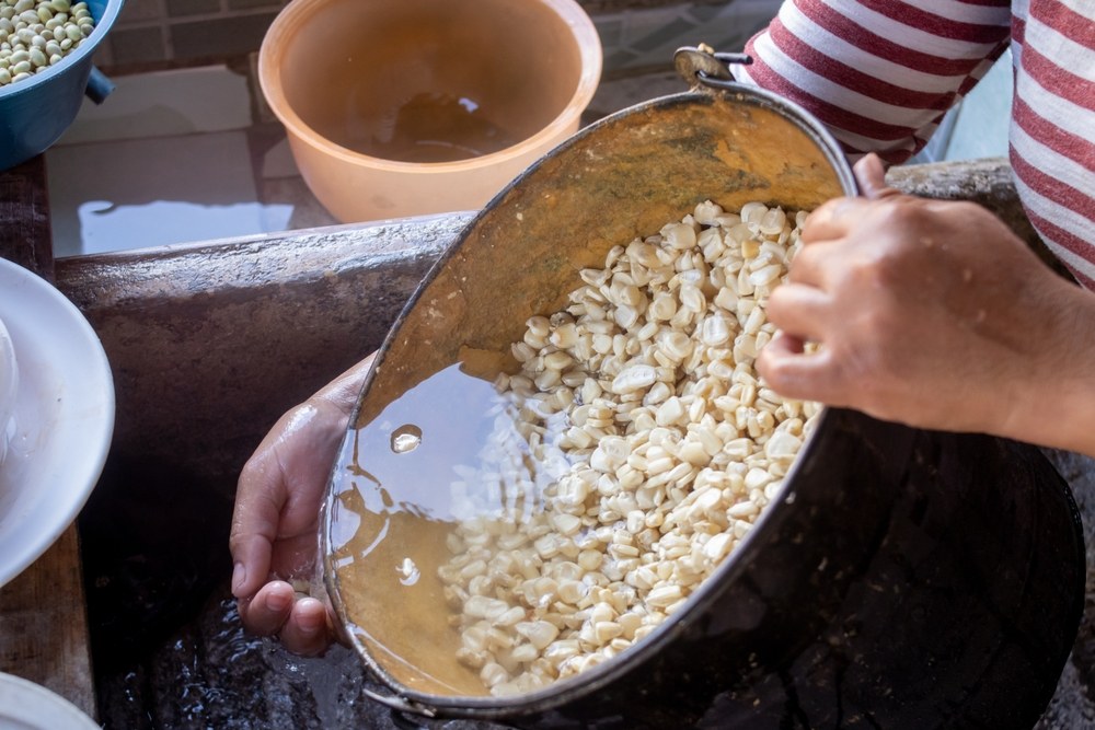 Cooked white corn kernels being rinsed in a metal colander