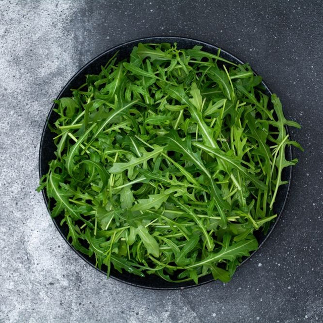 Arugula Seeds - Slow Bolt - Alliance of Native Seedkeepers - Vegetable Seeds