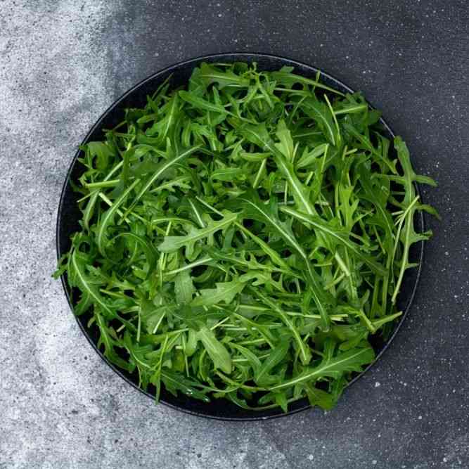 Slow Bolt Arugula Seeds