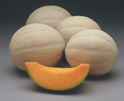 Melon Seeds - Athena Hybrid F1 (LIMITED TIME!)