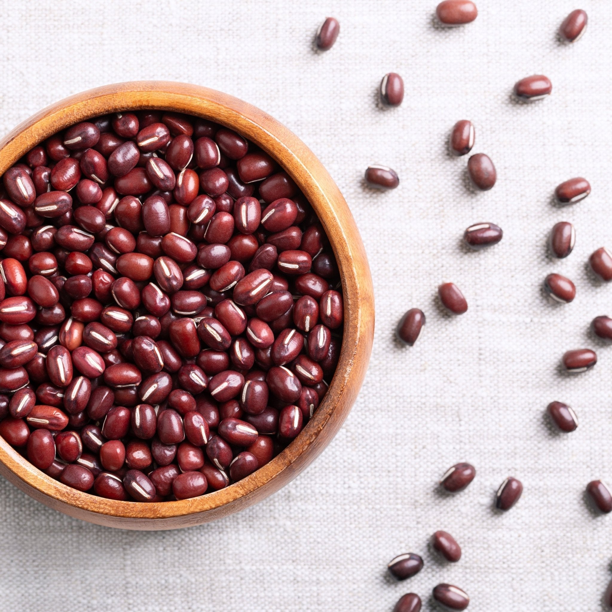 パーツ fuki beans Bean Seeds - Bush - Akai Tama Adzuki - Alliance of Native Seedkeepers