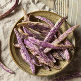 Dark Gray Bean Seeds - Bush - Dragon’s Tongue Bean Alliance Of Native Seedkeepers Vegetable Seeds