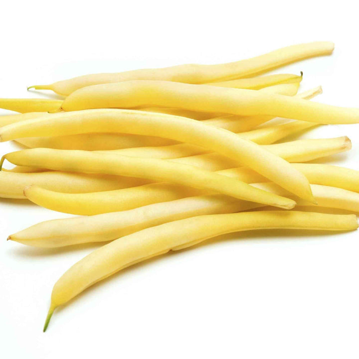 Gold Rush Wax Bean Seeds