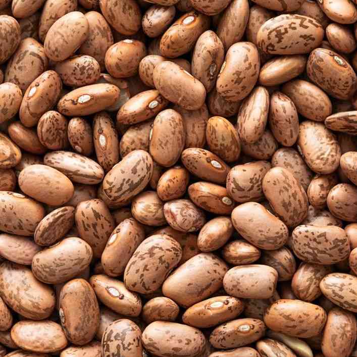 Painted Pinto Bean Seeds
