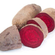 Beet Seeds - Cylindra - Alliance of Native Seedkeepers - Vegetable Seeds