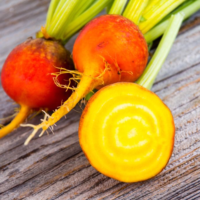 Beet Seeds - Golden Detroit - Alliance of Native Seedkeepers - 