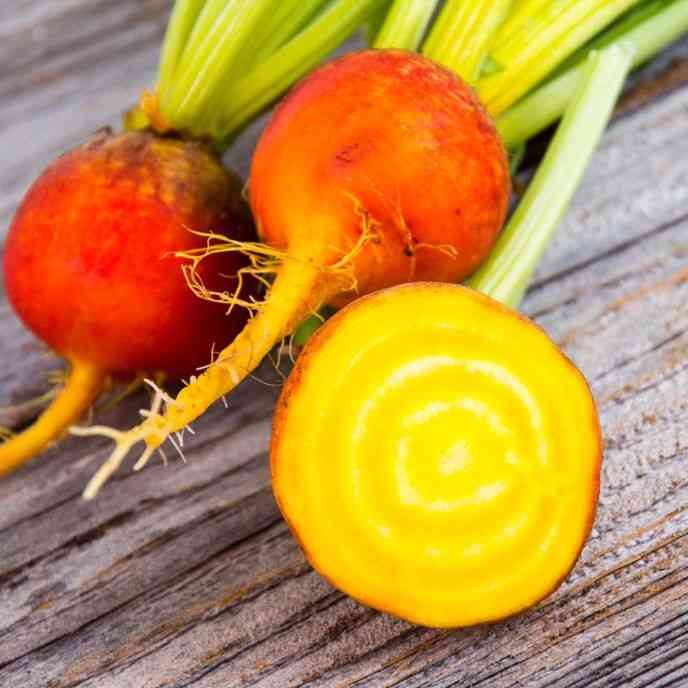 Golden Detroit Beet Seeds