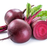 Beet Seeds - Ruby Queen - Alliance of Native Seedkeepers - Vegetable Seeds