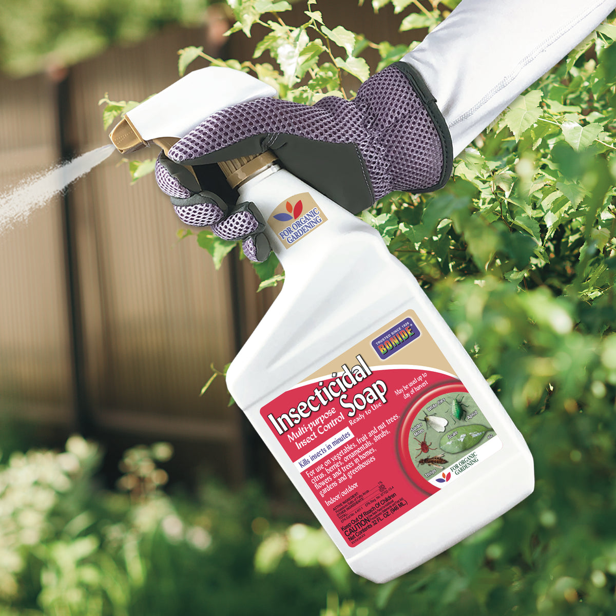 Bonide Insecticidal Soap 32 fl oz - supplier use photo 2