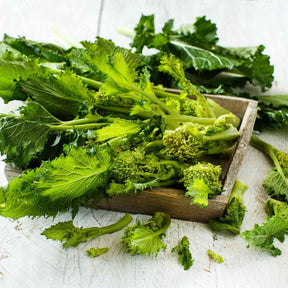 Broccoli Seeds - Rabe Spring Rapini - Alliance of Native Seedkeepers - Vegetable Seeds