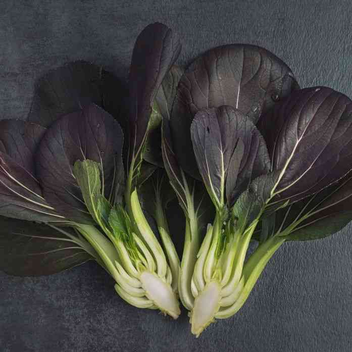 Cabbage Seeds - Purple Gem Pak Choi Seeds - Fresh Harvest | AONSK