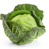 Cabbage Seeds - Savoy Perfection - Alliance of Native Seedkeepers - Vegetable Seeds