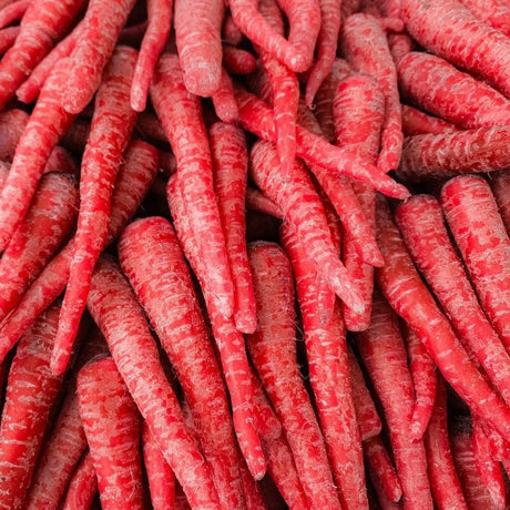 Carrot Seeds - Samurai Red - Alliance of Native Seedkeepers - 