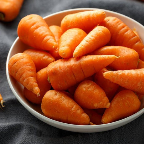 Carrot Seeds - Shin Kuroda 5" - Alliance of Native Seedkeepers - 