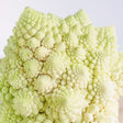 Cauliflower Seeds - Di Jesi - Alliance of Native Seedkeepers - Vegetable Seeds