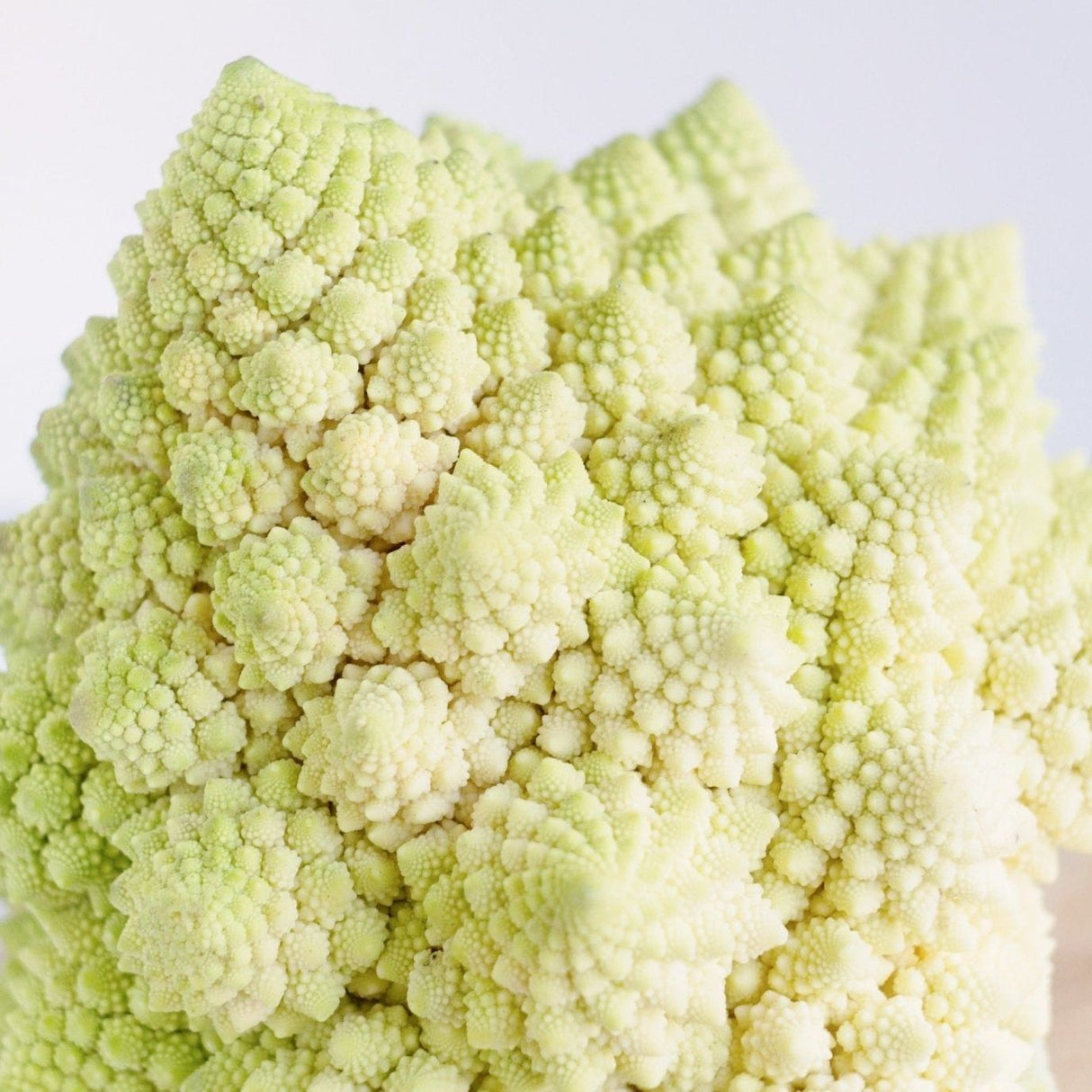 Cauliflower Seeds - Di Jesi - Alliance of Native Seedkeepers - Vegetable Seeds