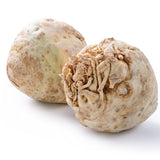 Celeriac Seeds - Giant Prague - Alliance of Native Seedkeepers - Vegetable Seeds