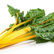 Chard Seeds - Swiss - Eldorado - Alliance of Native Seedkeepers - Vegetable Seeds
