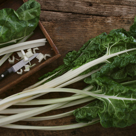 Chard Seeds - Swiss - Lucullus - Alliance of Native Seedkeepers - Vegetable Seeds