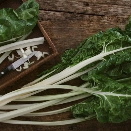Chard Seeds - Swiss - Lucullus - Alliance of Native Seedkeepers - Vegetable Seeds