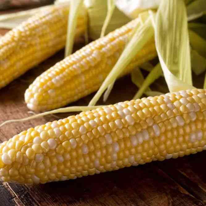 Peaches And Cream F1 Corn Seeds