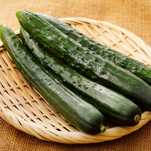 Cucumber Seeds - Japanese Long Cucumber - Alliance of Native Seedkeepers - Vegetable Seeds