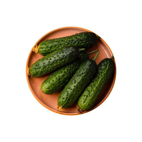 Cucumber Seeds - Parisian Gherkin F1 AAS - Alliance of Native Seedkeepers - Vegetable Seeds