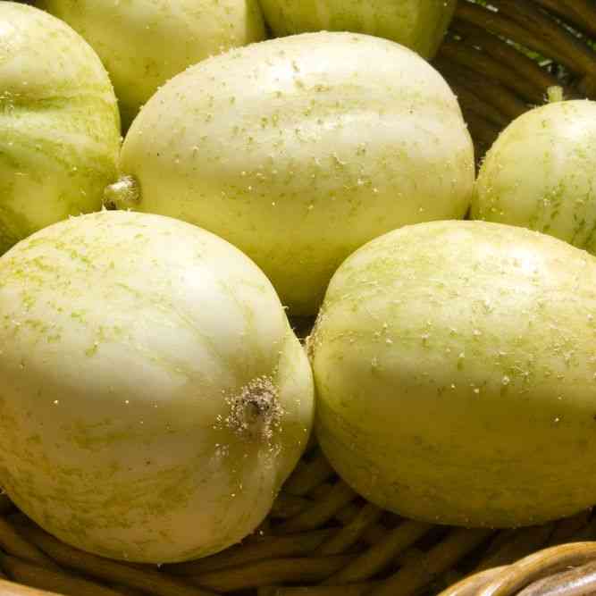 Crystal Apple Slicing cucumber Seeds