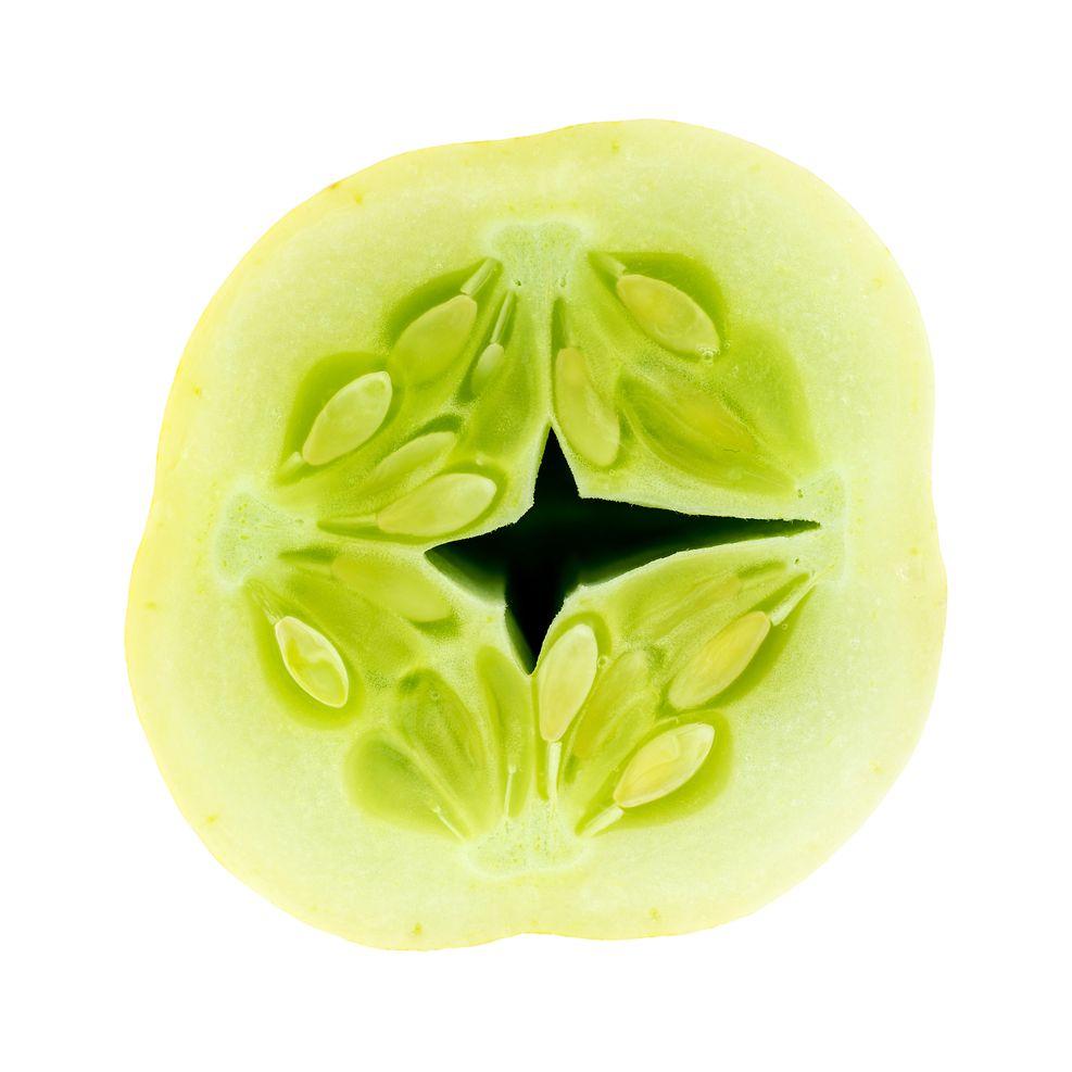 Cucumber Seeds - Vining - Crystal Apple - Alliance of Native Seedkeepers - Vegetable Seeds