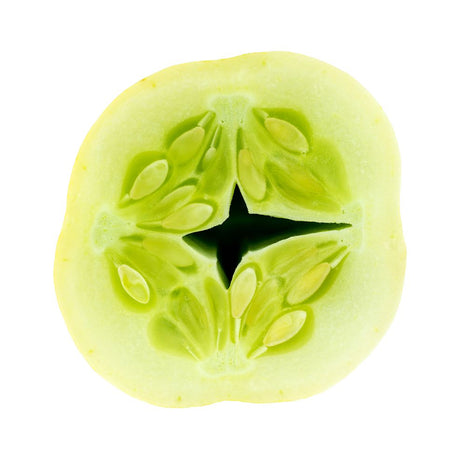 Cucumber Seeds - Vining - Crystal Apple - Alliance of Native Seedkeepers - Vegetable Seeds