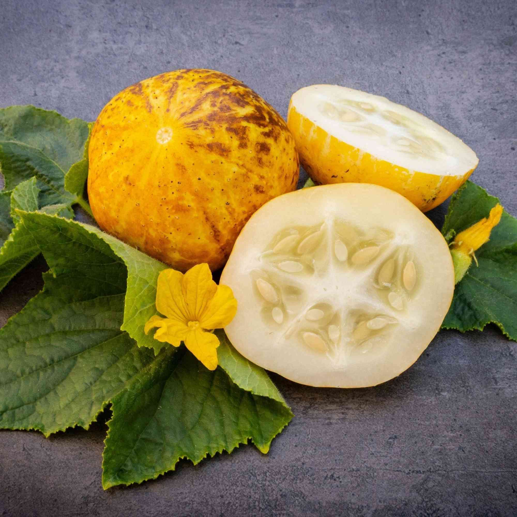 Lemon Cucumber Seeds: Round Yellow Heirloom | AONSK