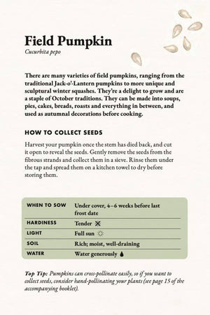 The Seed Collector's Kit