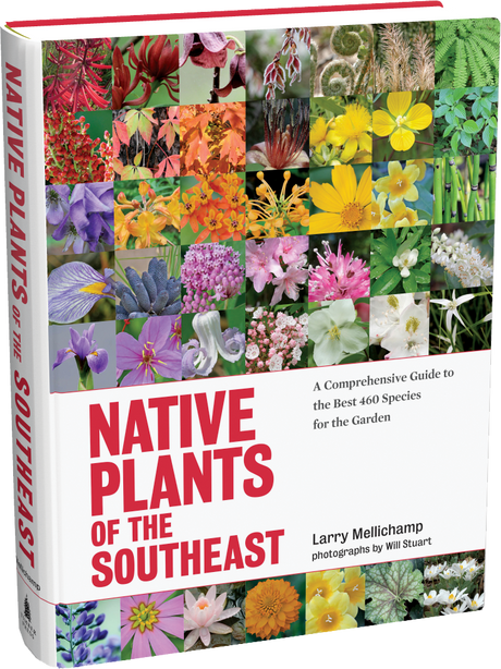 Native Plants of the Southeast