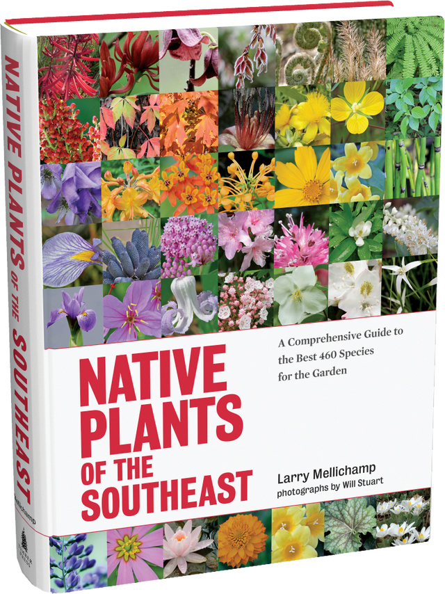 Native Plants of the Southeast