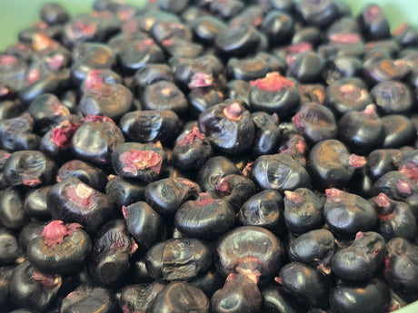 Corn Seeds - Flour - Montana Morado Maize