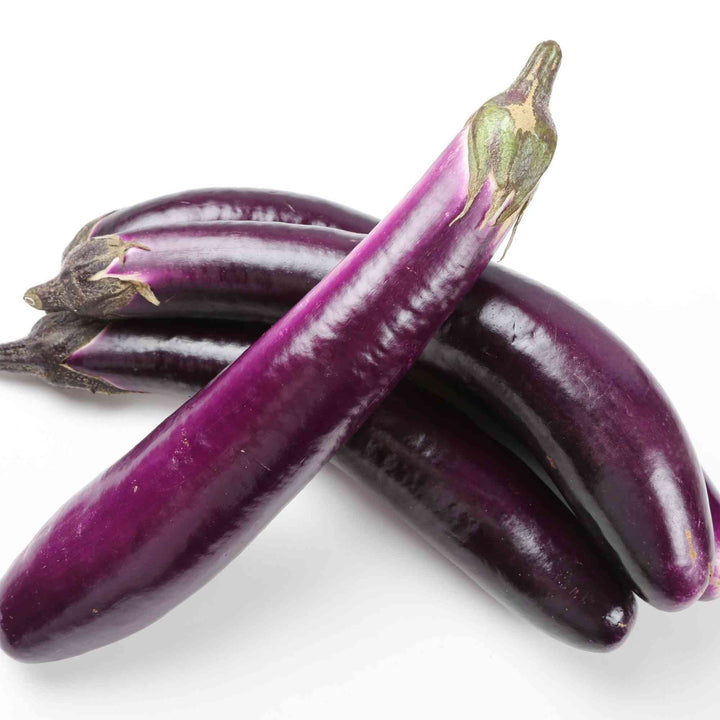 Italian Long Purple Eggplant Seeds