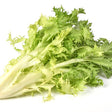 Endive Seeds - Frisee - Alliance of Native Seedkeepers - 