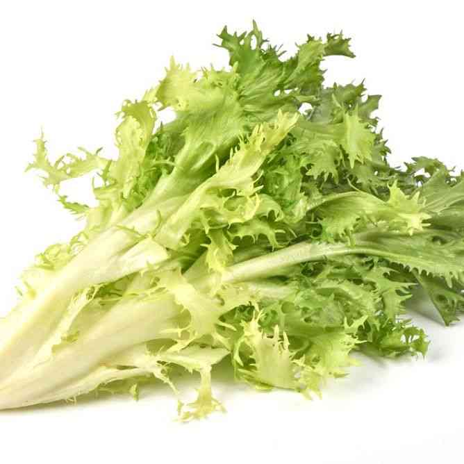 Frisée