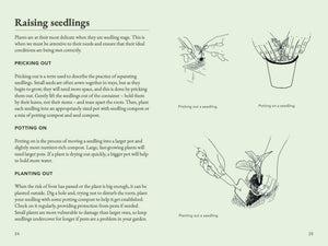 The Seed Collector's Kit