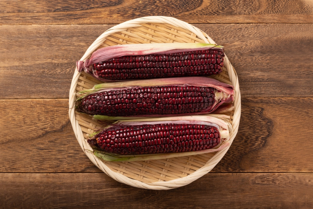 Bundle of dry red corn ears tied together by the husks