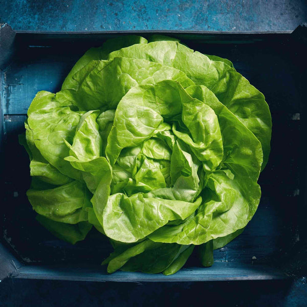 Cool-season vegetables