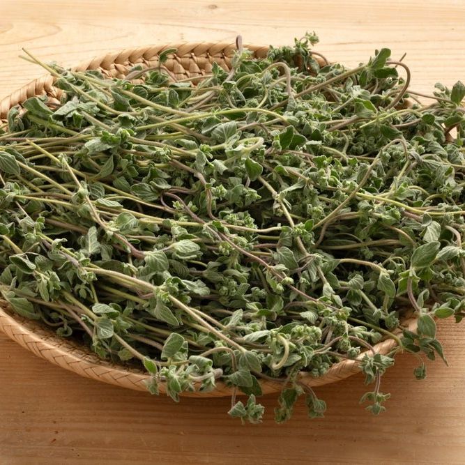 Marjoram Seeds - Sweet Marjoram - Alliance of Native Seedkeepers - Herb Seeds