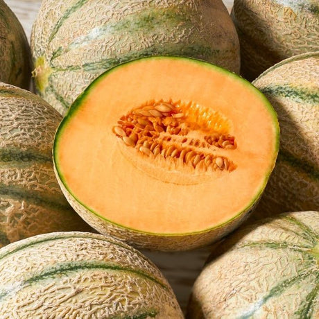 Melon - Hearts of Gold Cantaloupe - Alliance of Native Seedkeepers - 