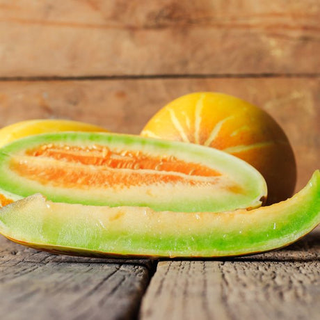 Melon Seeds - Banana - Alliance of Native Seedkeepers - Vegetable Seeds