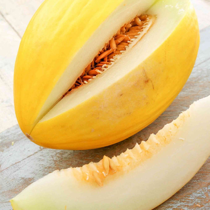 Crenshaw Melon Seeds